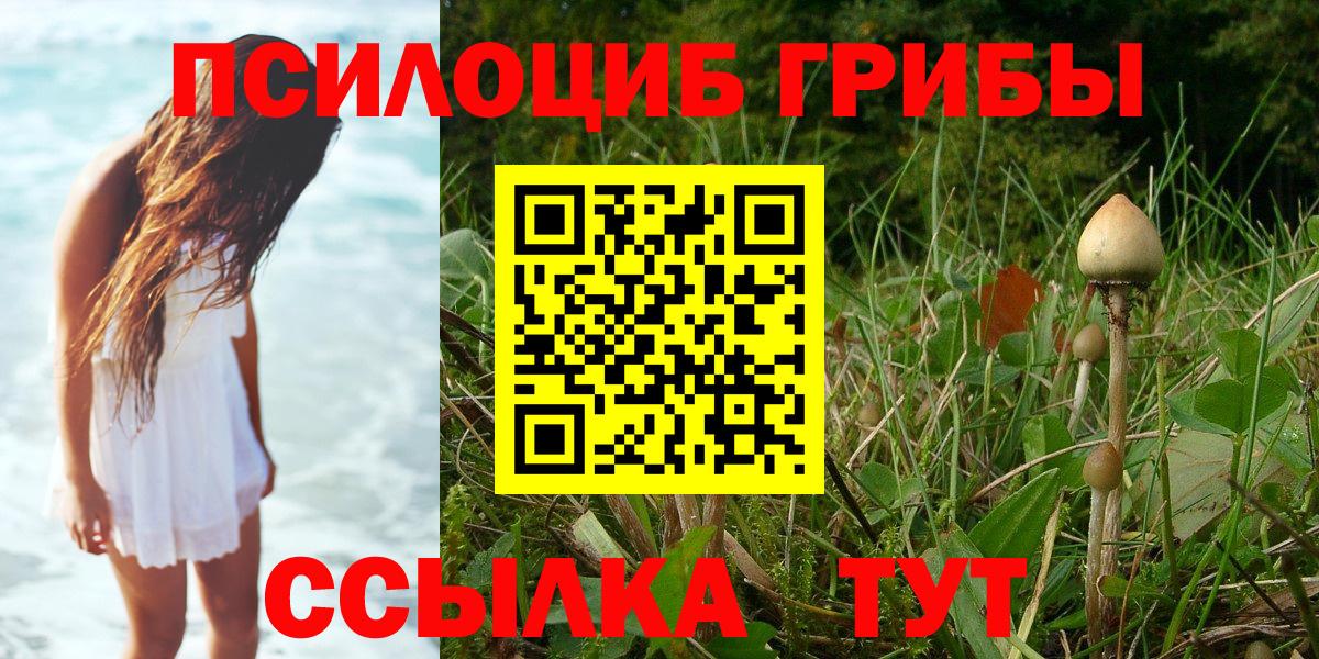 Галлюциногенные грибы Psilocybe  Вход с VPN  Саратов  Галлюциногенные грибы GOLDEN TEACHER 